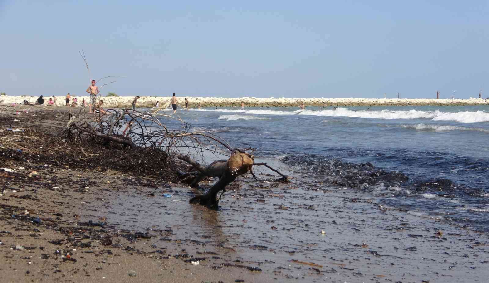 Mersin sahillerindeki kirlilik turizmi tehdit ediyor
