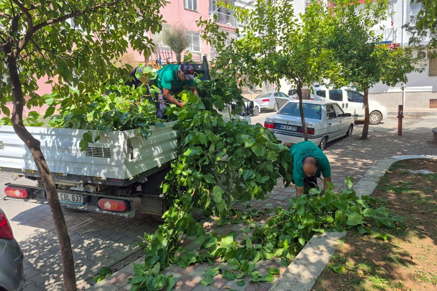 Efeler’de yeşil alanların bakımı sürüyor