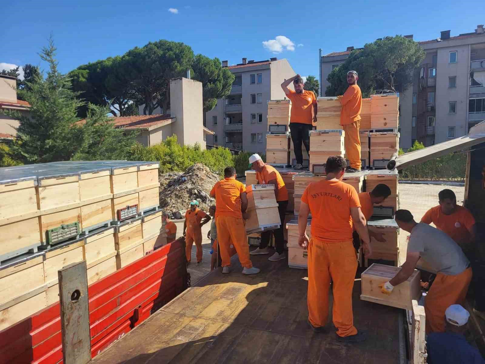 Yangından etkilenen arıcılara 2 bin kovan dağıtıldı