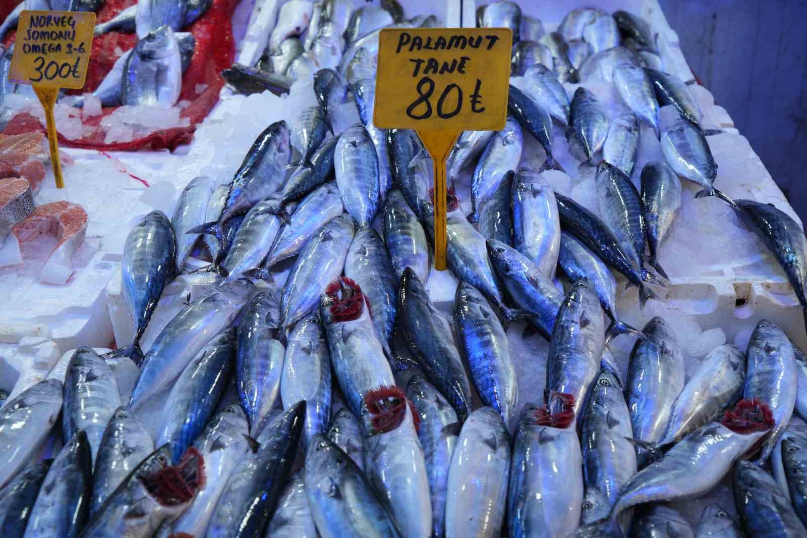 Yıllardır böylesi görülmedi: Karadeniz’den palamut fışkırıyor