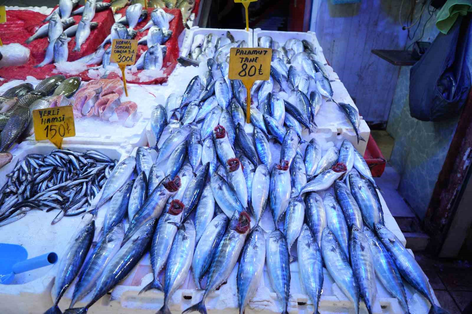Yıllardır böylesi görülmedi: Karadeniz’den palamut fışkırıyor