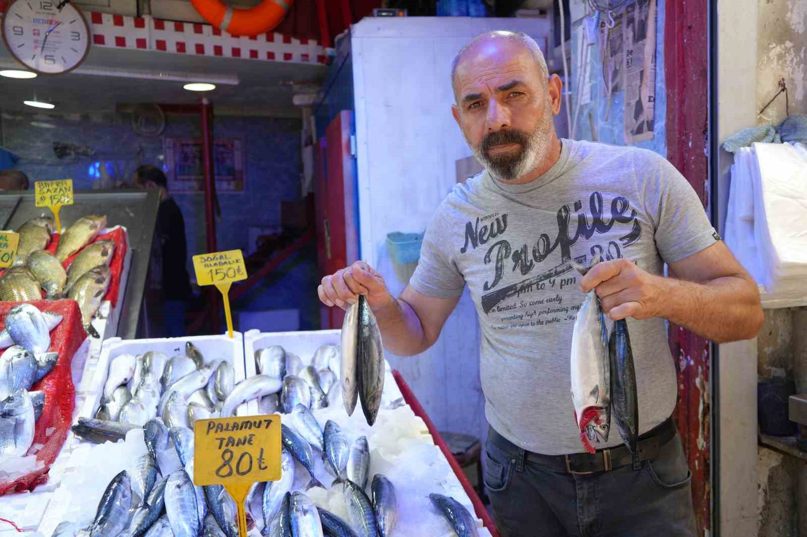 Yıllardır böylesi görülmedi: Karadeniz’den palamut fışkırıyor