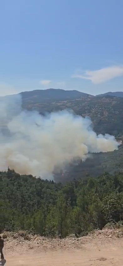Sındırgı’da orman yangınına havadan ve karadan müdahale sürüyor