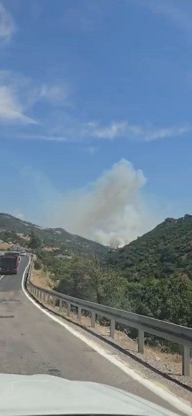 Sındırgı’da orman yangınına havadan ve karadan müdahale sürüyor