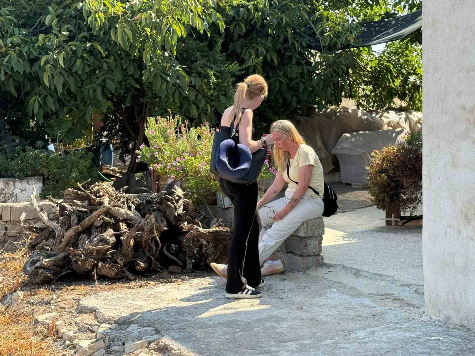 Serik’te VIP minibüs ile kamyonet çarpıştı: 1 yaralı
