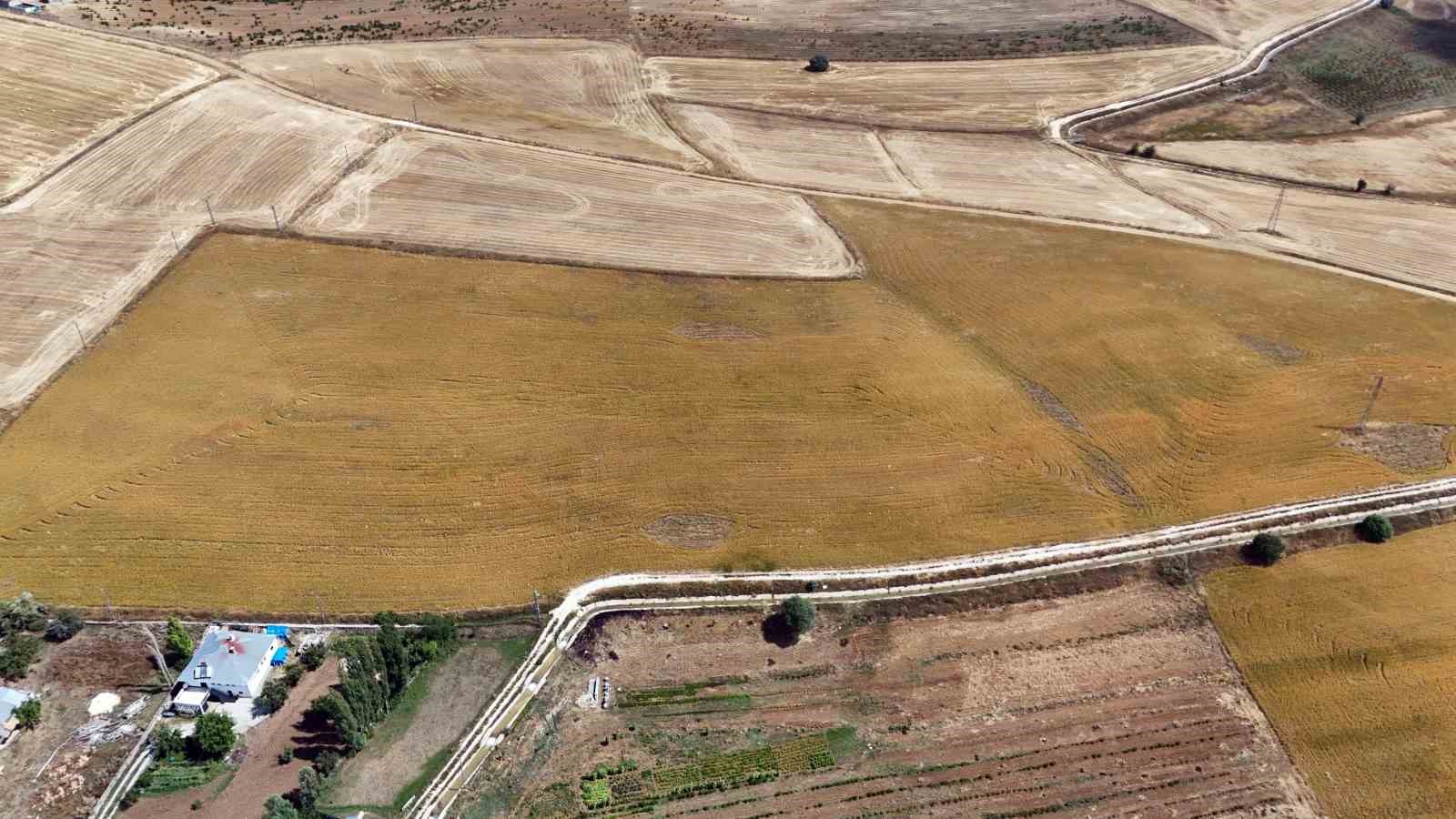 35 yıl kamuda çalıştı, emekli olunca aspir ekimine başladı