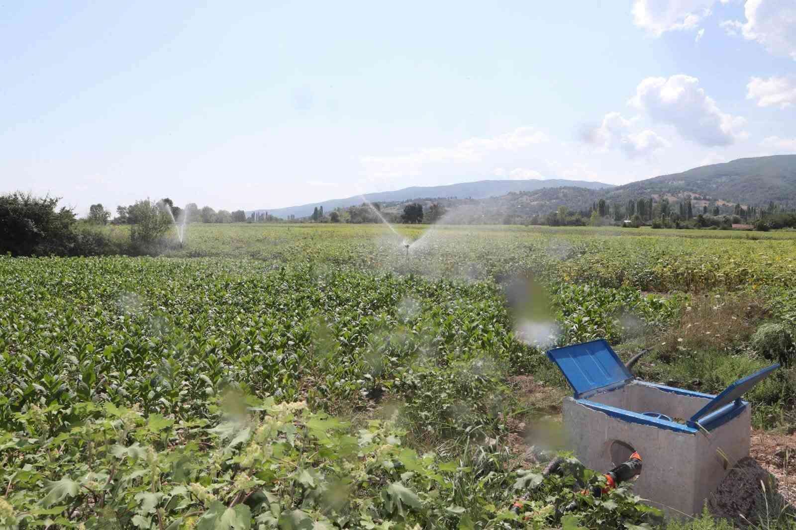 Esençay’da 305 hektarlık arazi suya kavuştu