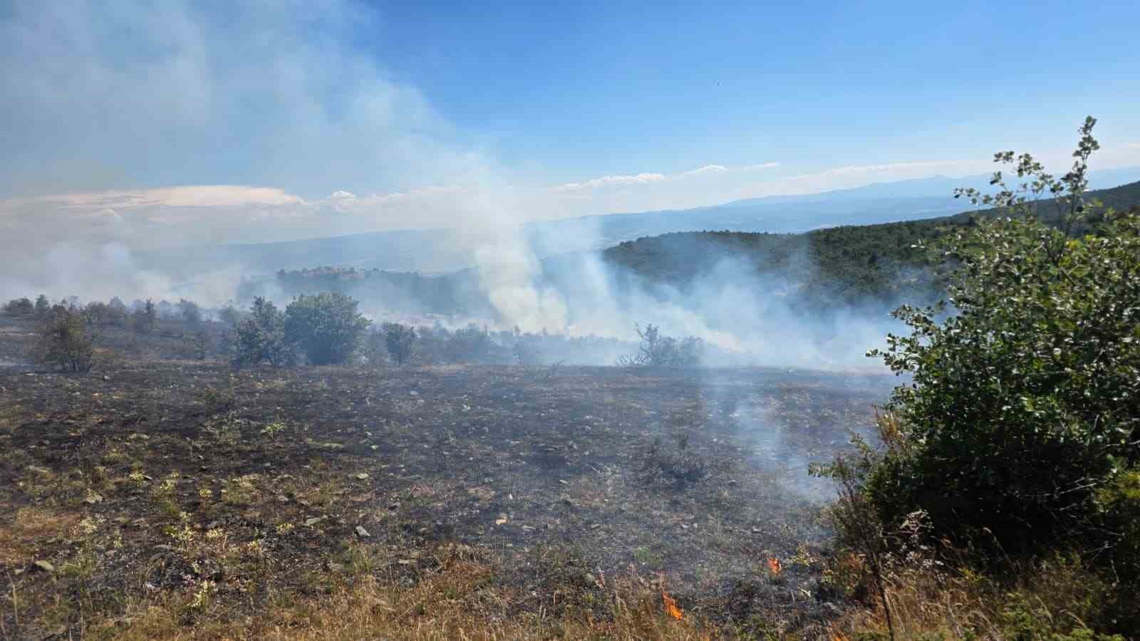 Kastamonu’da çıkan orman yangını kontrol altına alındı
