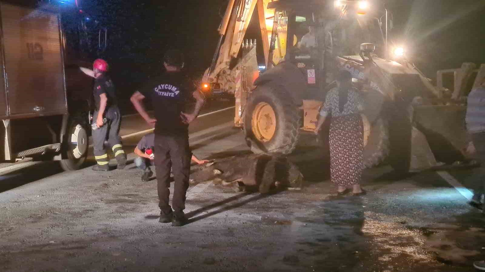 Otomobil karayoluna çıkan 3 mandaya çarptı: 1’i ağır, 2 yaralı