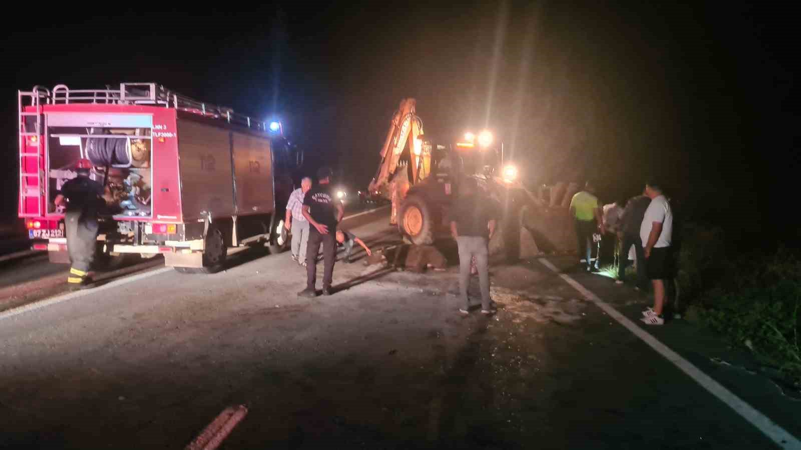 Otomobil karayoluna çıkan 3 mandaya çarptı: 1’i ağır, 2 yaralı