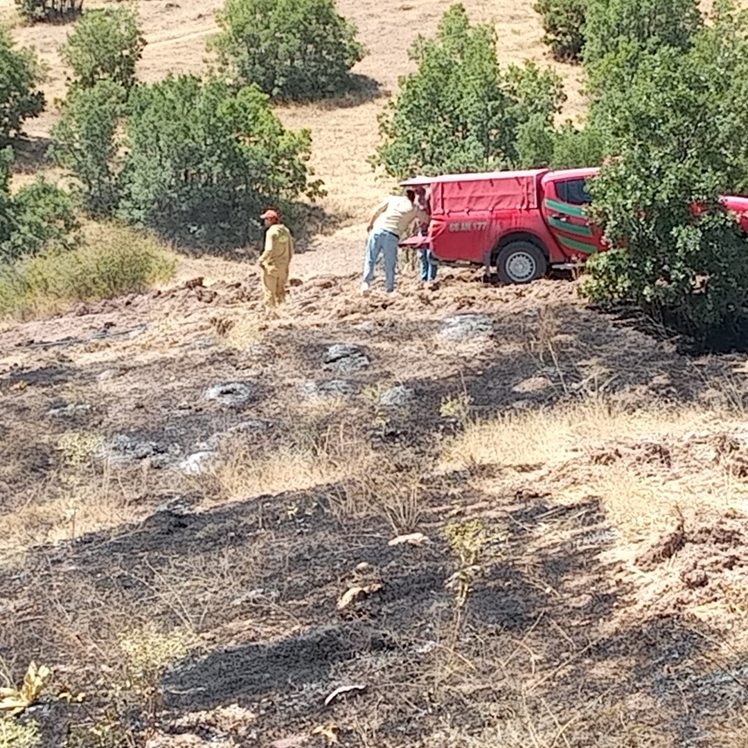 Anız yangınında yaklaşık 25 dönüm arazi küle döndü