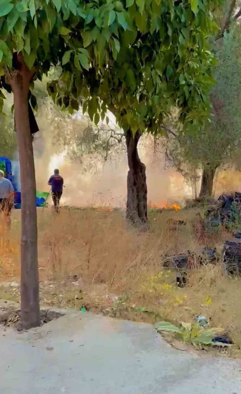 Milas’ta zeytinlik alan yangını büyümeden söndürüldü