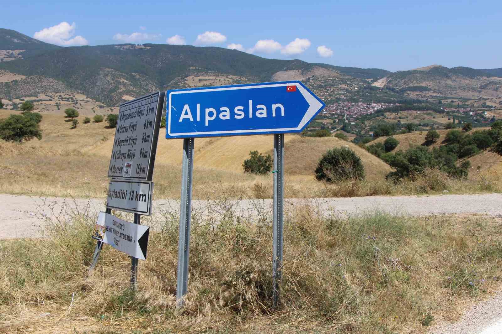 Amasya’nın tescilli çiçek bamyası altın değerinde: "Hızır’ın cebinden düşmüş, topla topla bitmiyor"