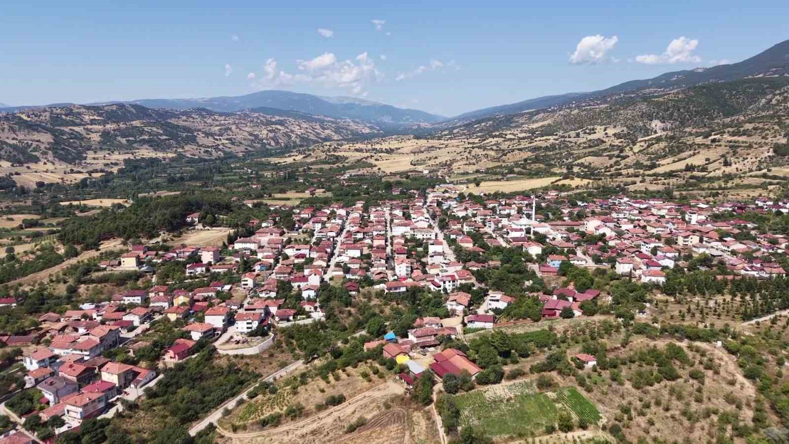 Amasya’nın tescilli çiçek bamyası altın değerinde: "Hızır’ın cebinden düşmüş, topla topla bitmiyor"