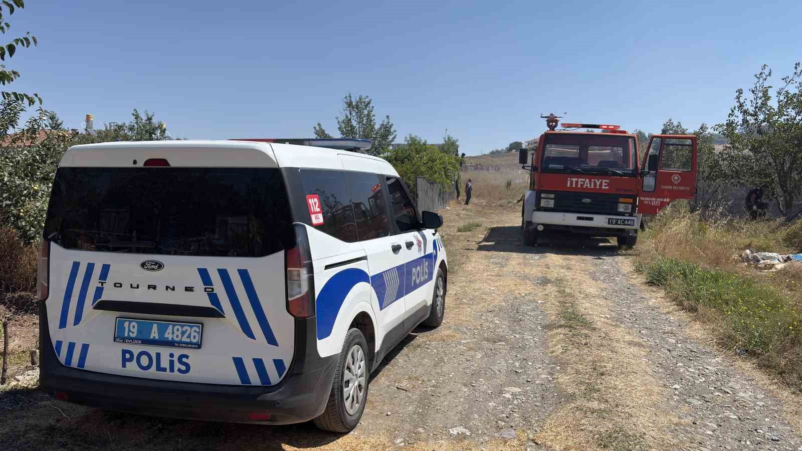 Çorum’da otluk alanda çıkan yangında 1 köpek yaralandı