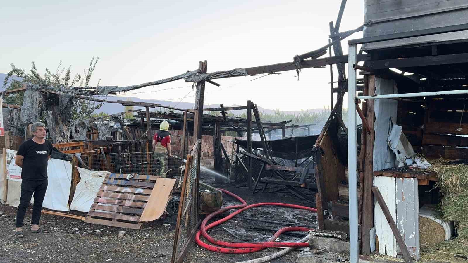 Bursa’da çiftlik alev alev yandı: Olay yeri dron ile görüntülendi