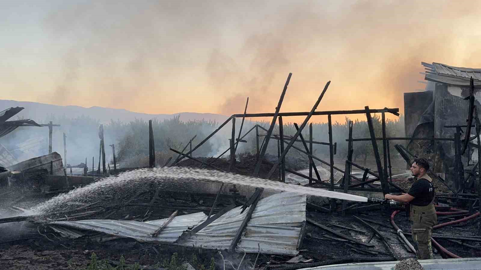 Bursa’da çiftlik alev alev yandı: Olay yeri dron ile görüntülendi