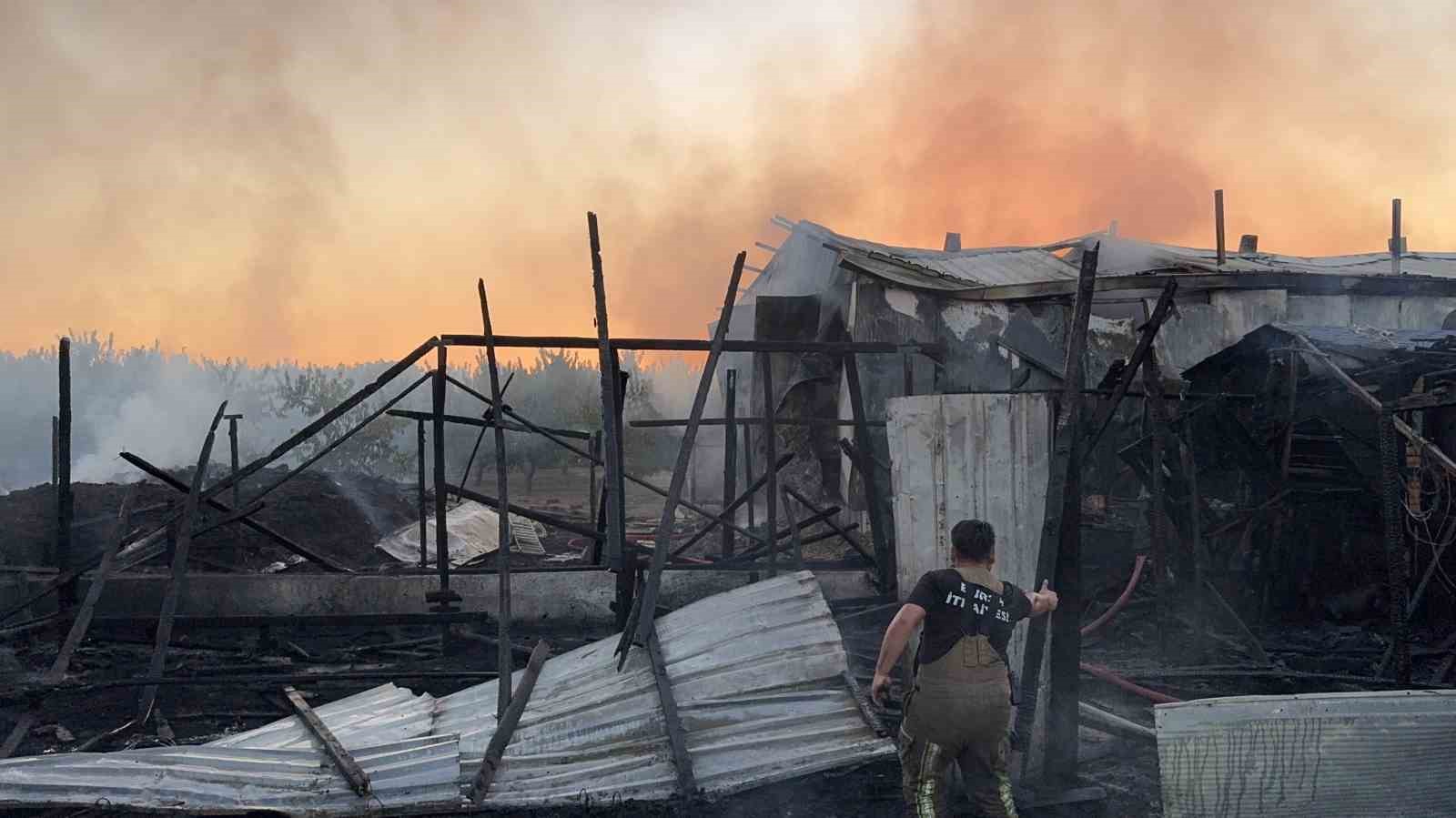 Bursa’da çiftlik alev alev yandı: Olay yeri dron ile görüntülendi