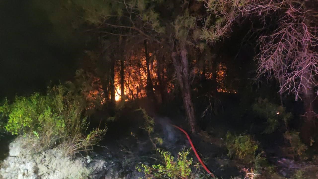 Hatay’da orman yangını kontrol altına alındı