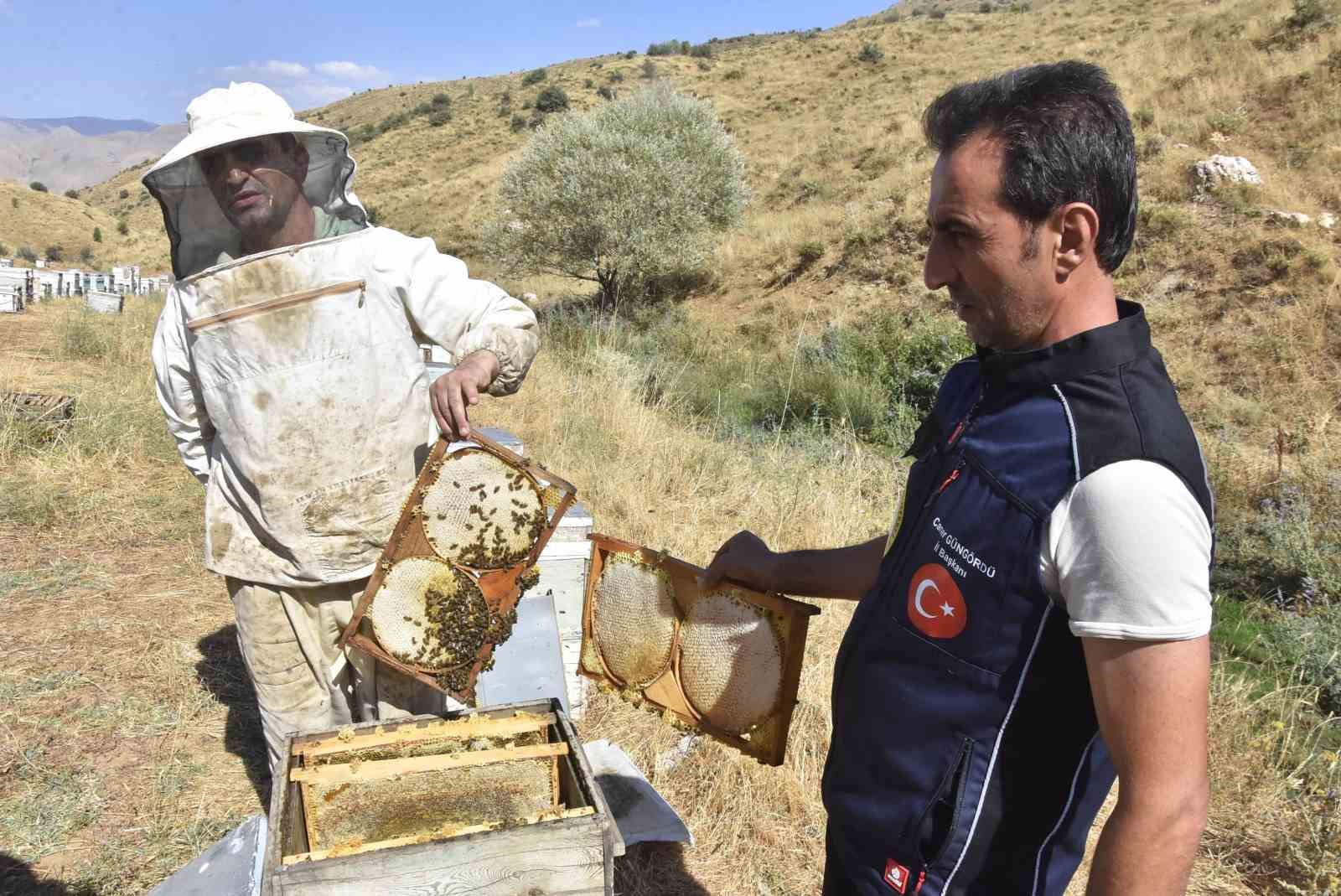 Dünya liderlerine ikram edilen Bitlis balının bu yılki rekoltesi yüz güldürecek