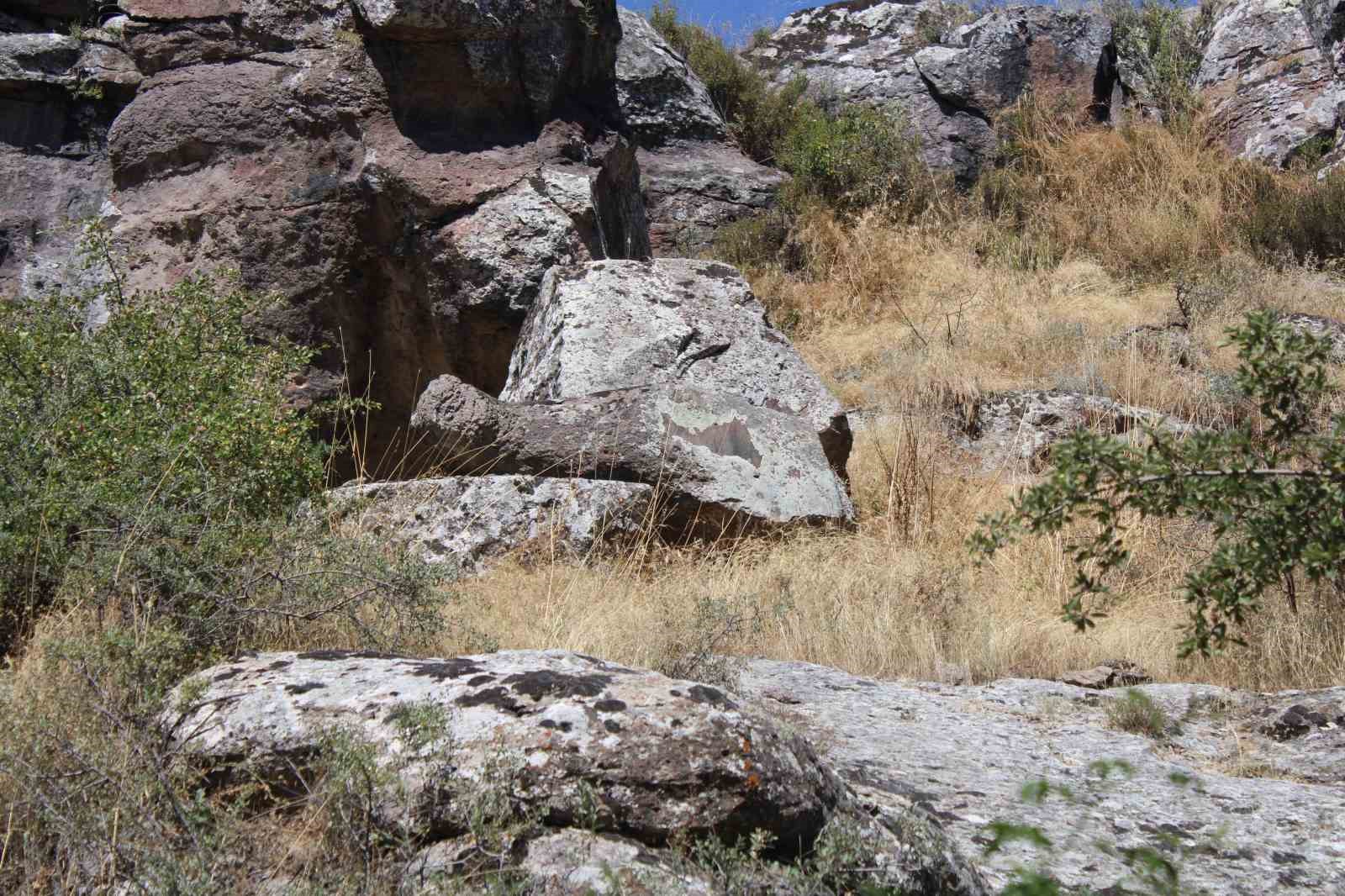 Koramaz Vadisi’nde ‘pareidolia’ keşfi: Kayalar ve ağaçlar farklı anlamlar taşıyor