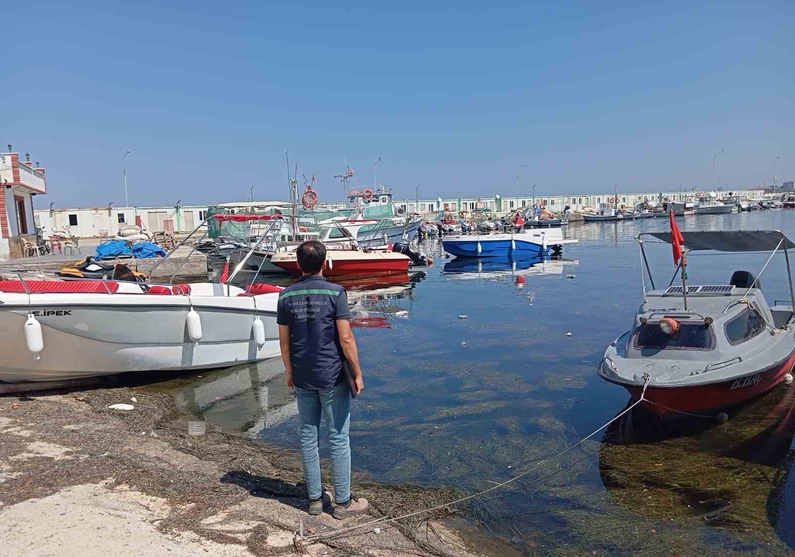 Yalova’da atık suları arıtmadan deşarj eden belediyeye 7,9 milyon lira ceza
