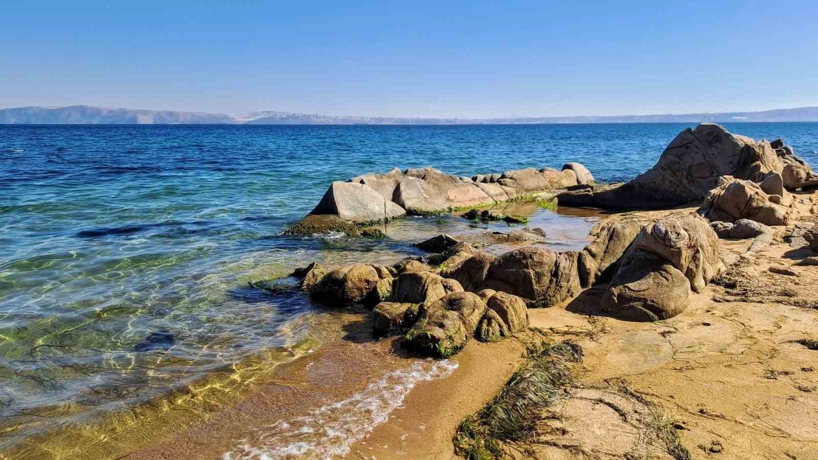 Kapıdağ’da sürpriz misafir: Yavru vatoz kıyıya geldi