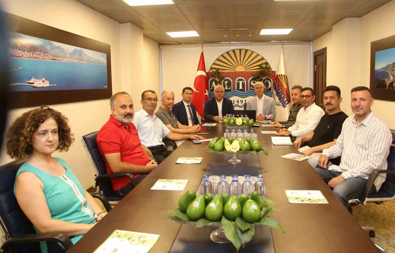 Alanya avokadosunun Avrupa Birliği coğrafi işaret başvurusu gerçekleştirildi