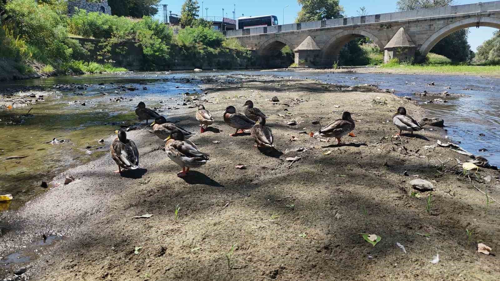 Tunca Nehri’nde kuraklık alarmı