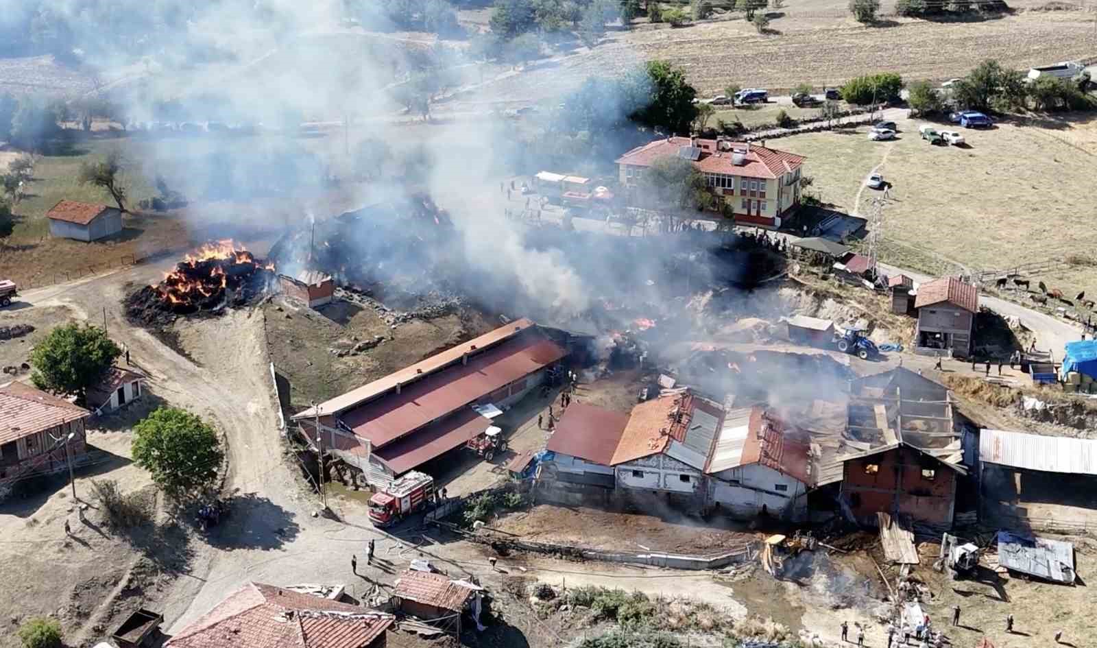 Kastamonu’da çıkan samanlık yangını ahırlara sıçradı: İlk belirlemelere göre 14 büyükbaş hayvan telef oldu