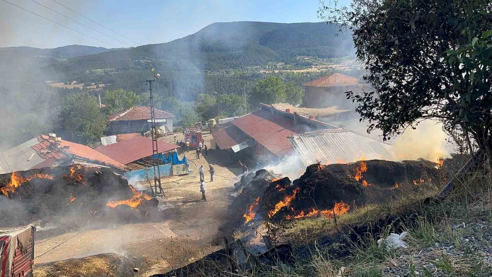 Kastamonu’da çıkan samanlık yangını ahırlara sıçradı: İlk belirlemelere göre 14 büyükbaş hayvan telef oldu