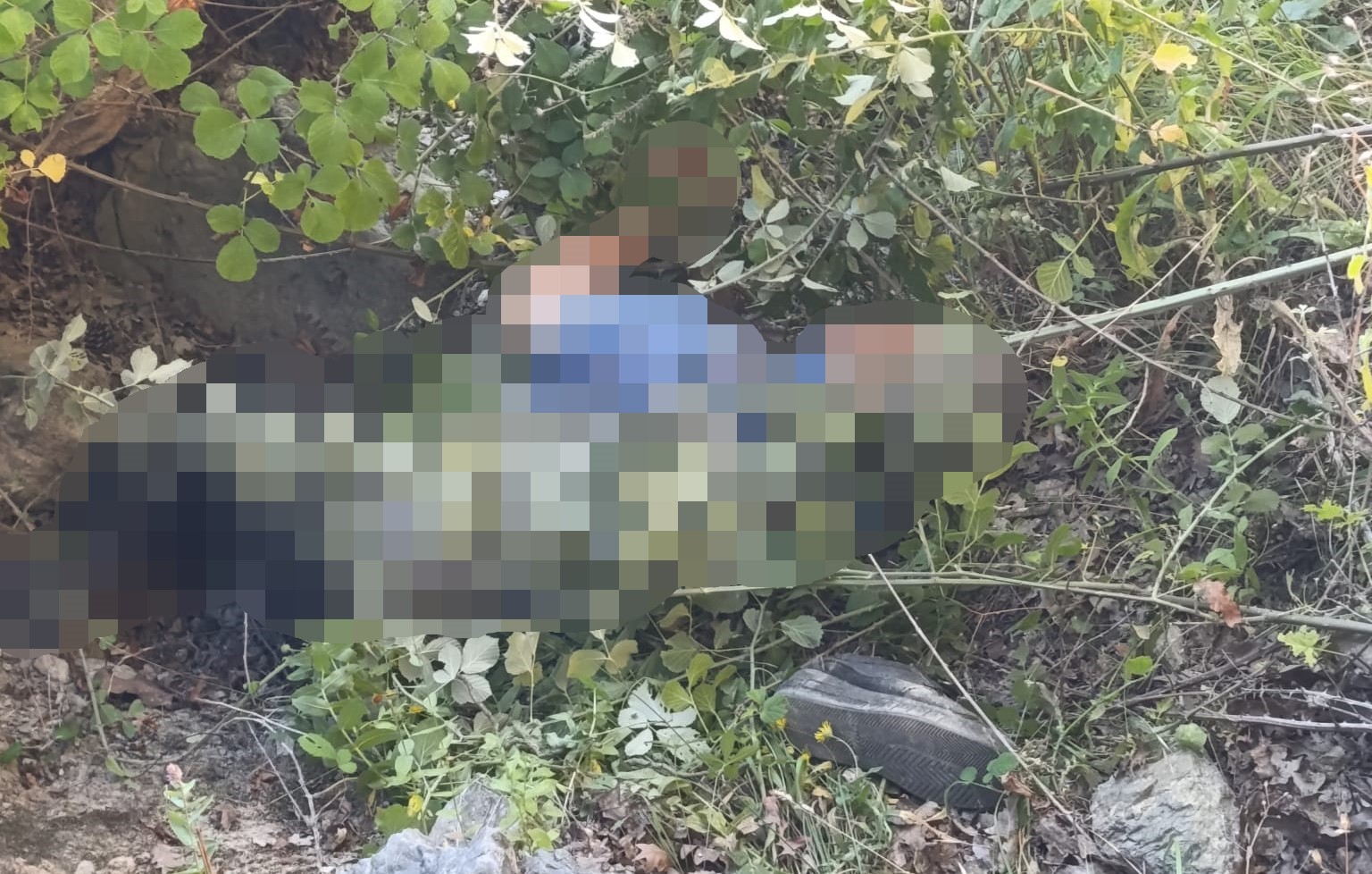 Samsun’da koyunlarını otlatmaya giden adam ormanda ölü bulundu