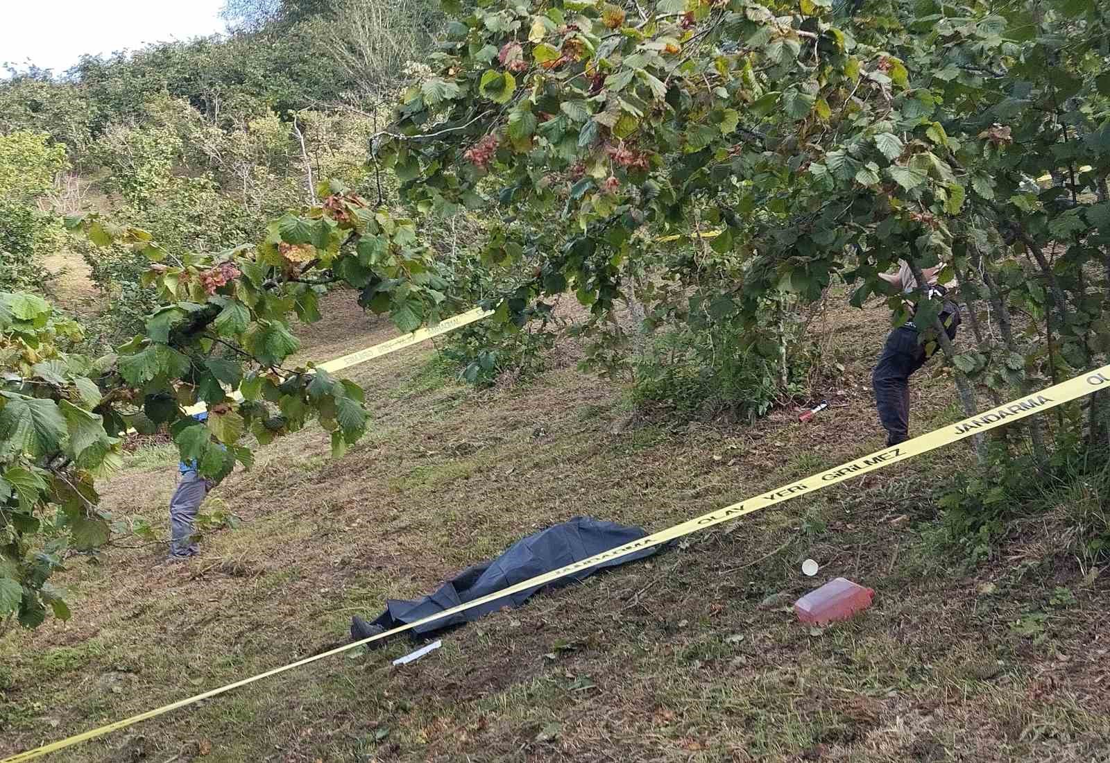 Ordu’da patpat devrildi: 2 ölü, 10 yaralı