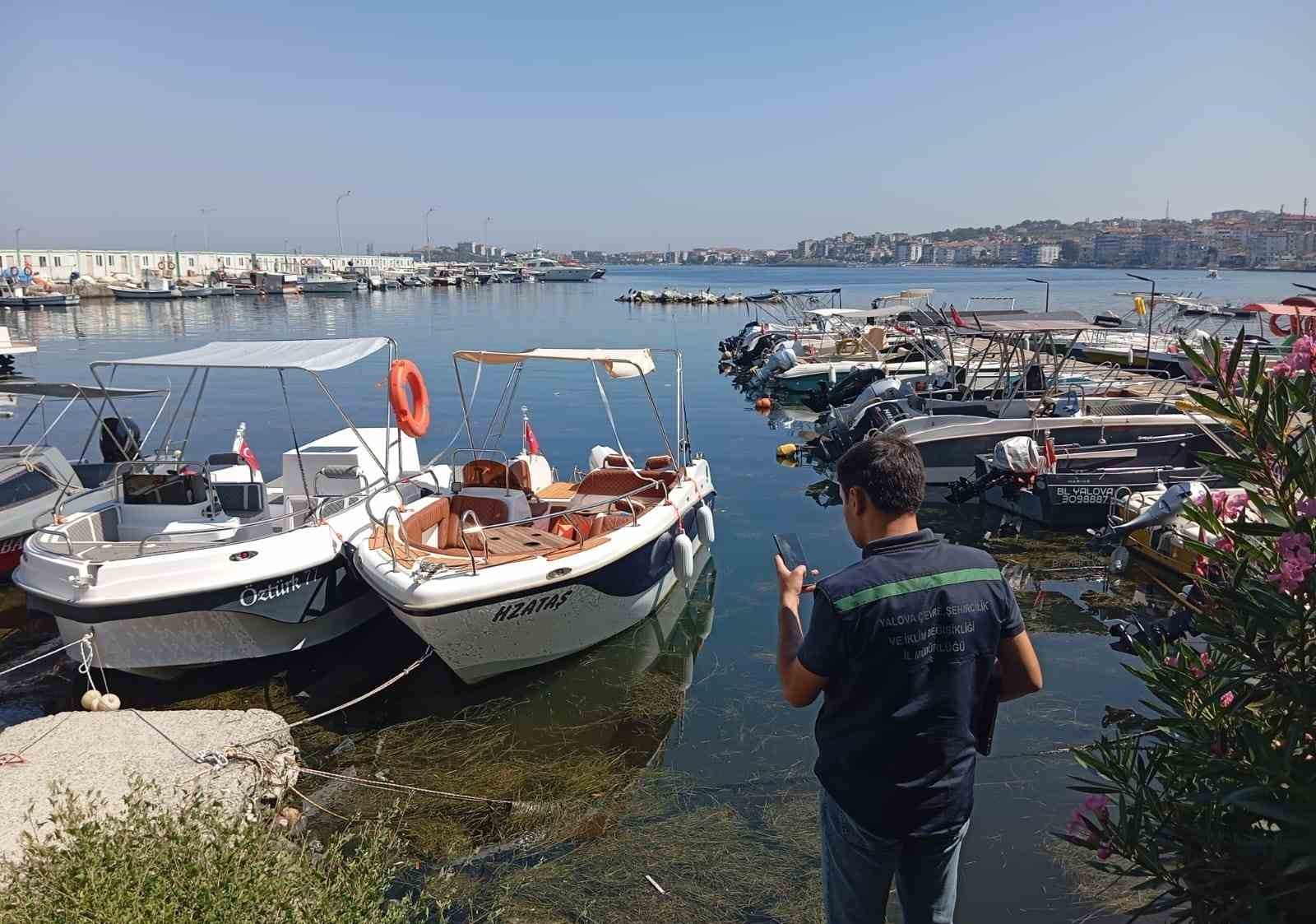 Çınarcık’ta denize girmek yasaklandı: Deniz kirlendi, ceza yağdı