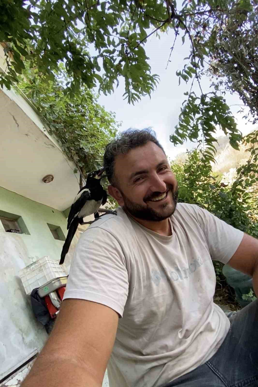 Perişan ismini verdiği saksağanı omuzundan indirmiyor