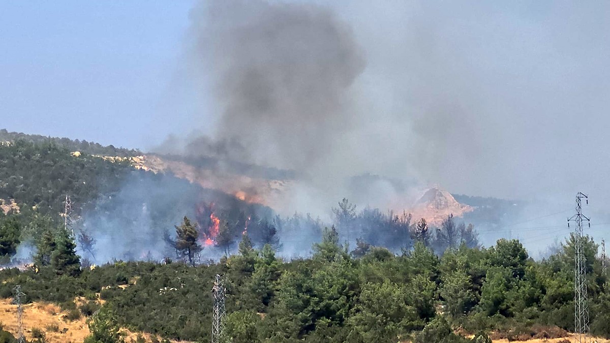 Bilecik’te ormanlık alanda yangın başladı