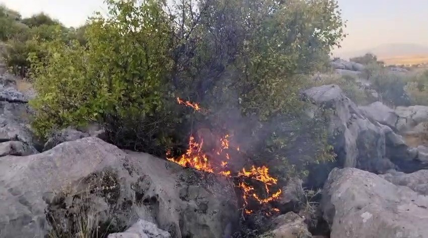 Besni’de ormanlık alanda çıkan yangın korkuttu