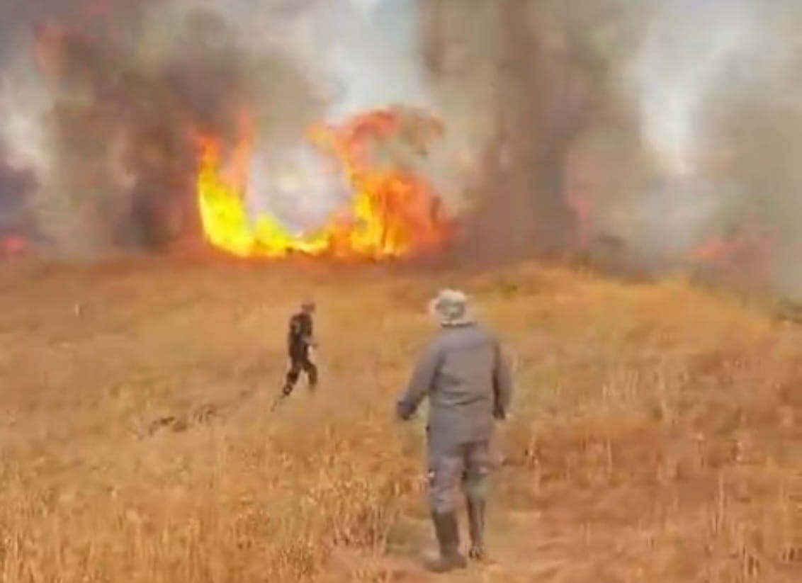 Malatya’da korkutan anız yangını