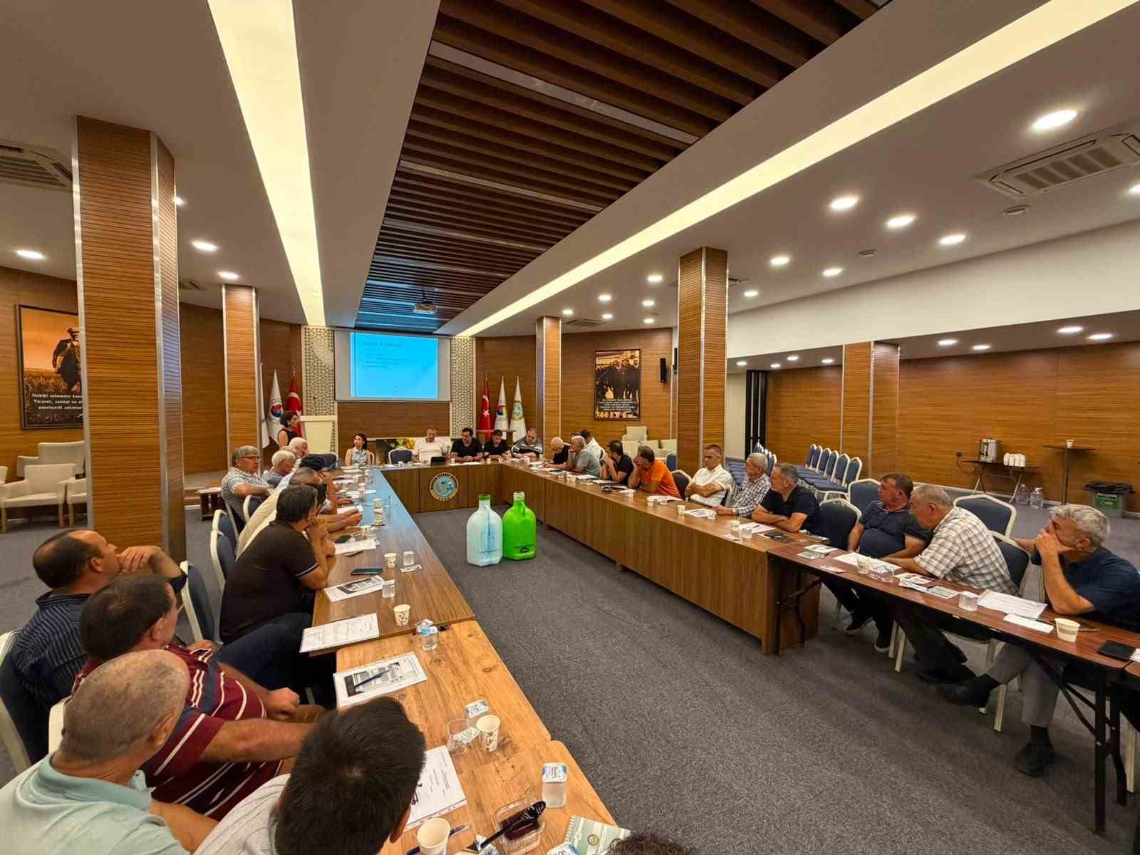 Zeytinyağında sezon öncesi kritik uyarı: "Kalite gücüne dönüşmeliyiz"