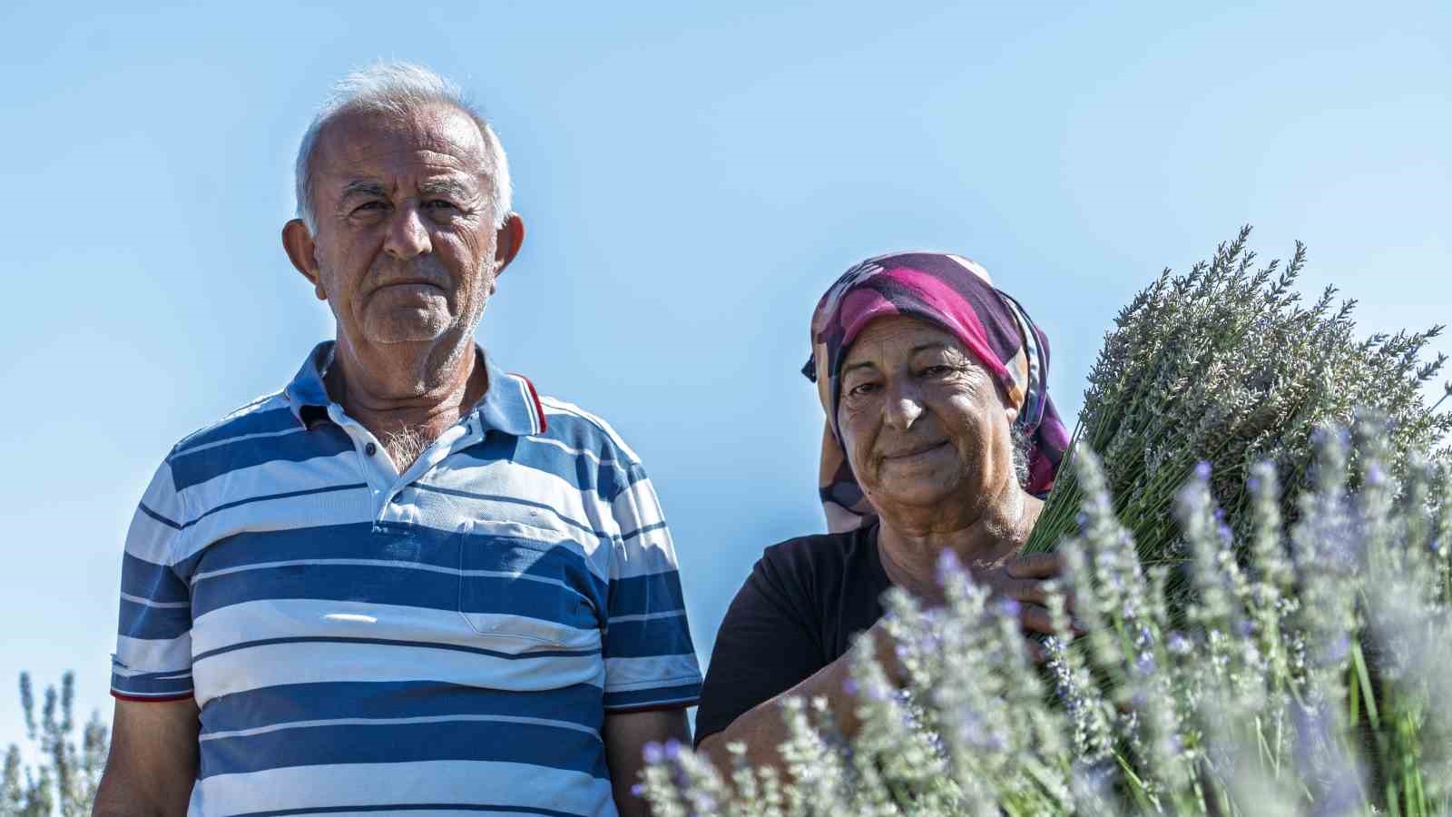 Umutla yetiştirdi, gözyaşlarıyla anlattı: Yaşlı çiftin lavanta bahçesindeki hüzünlü bekleyişi