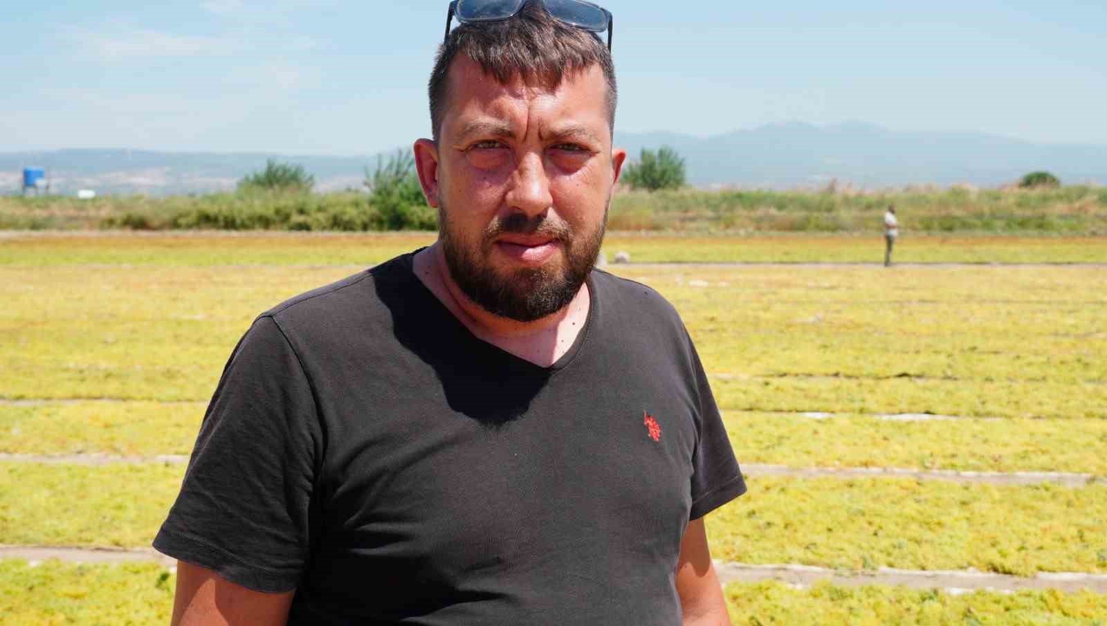 Üzüm üreticisini fire korkusu sardı