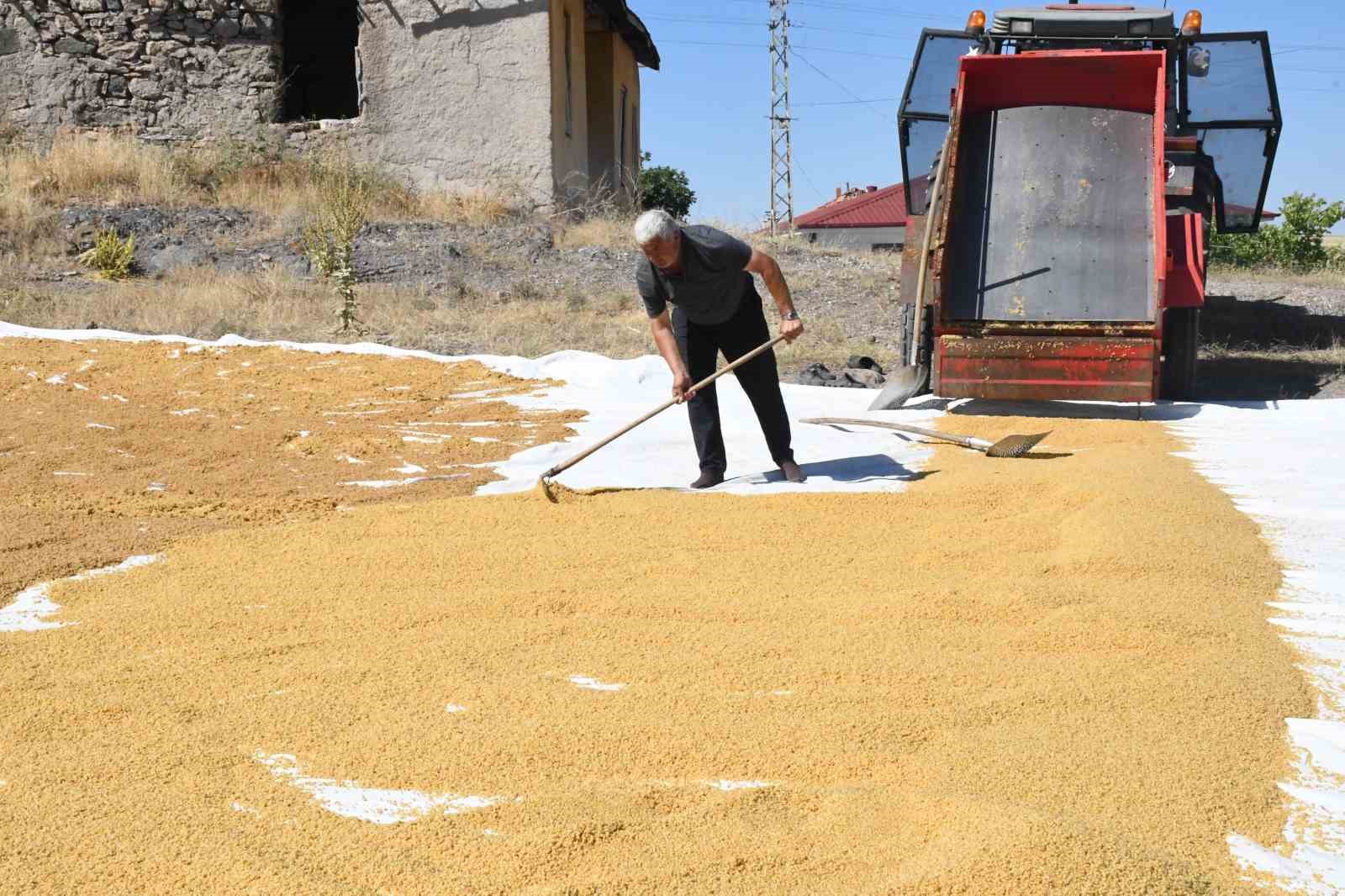 Anadolu sofralarının vazgeçilmezi bulgur için kazanlar kaynamaya başladı