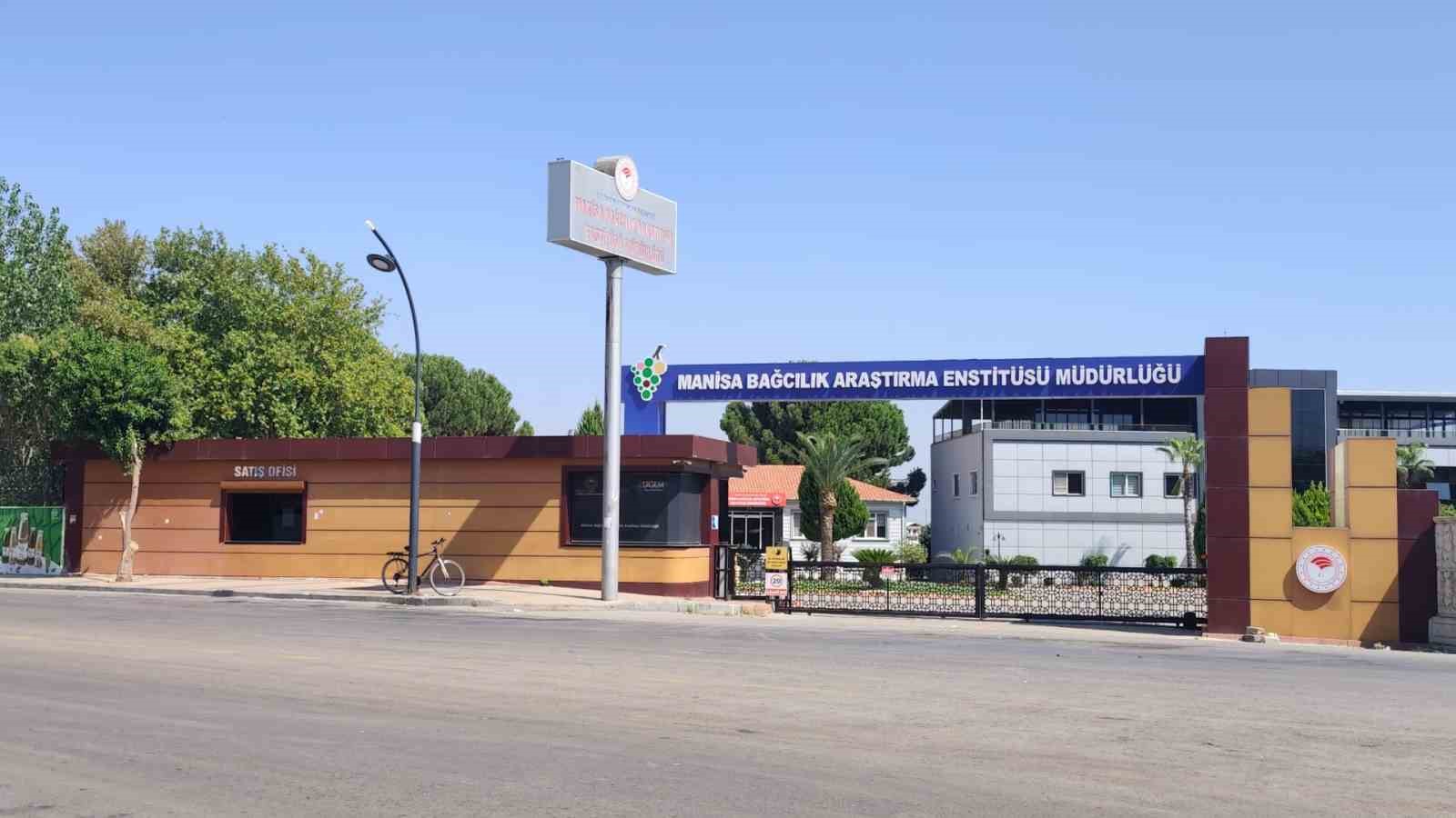 Dalında üzüm, tadında çilek var