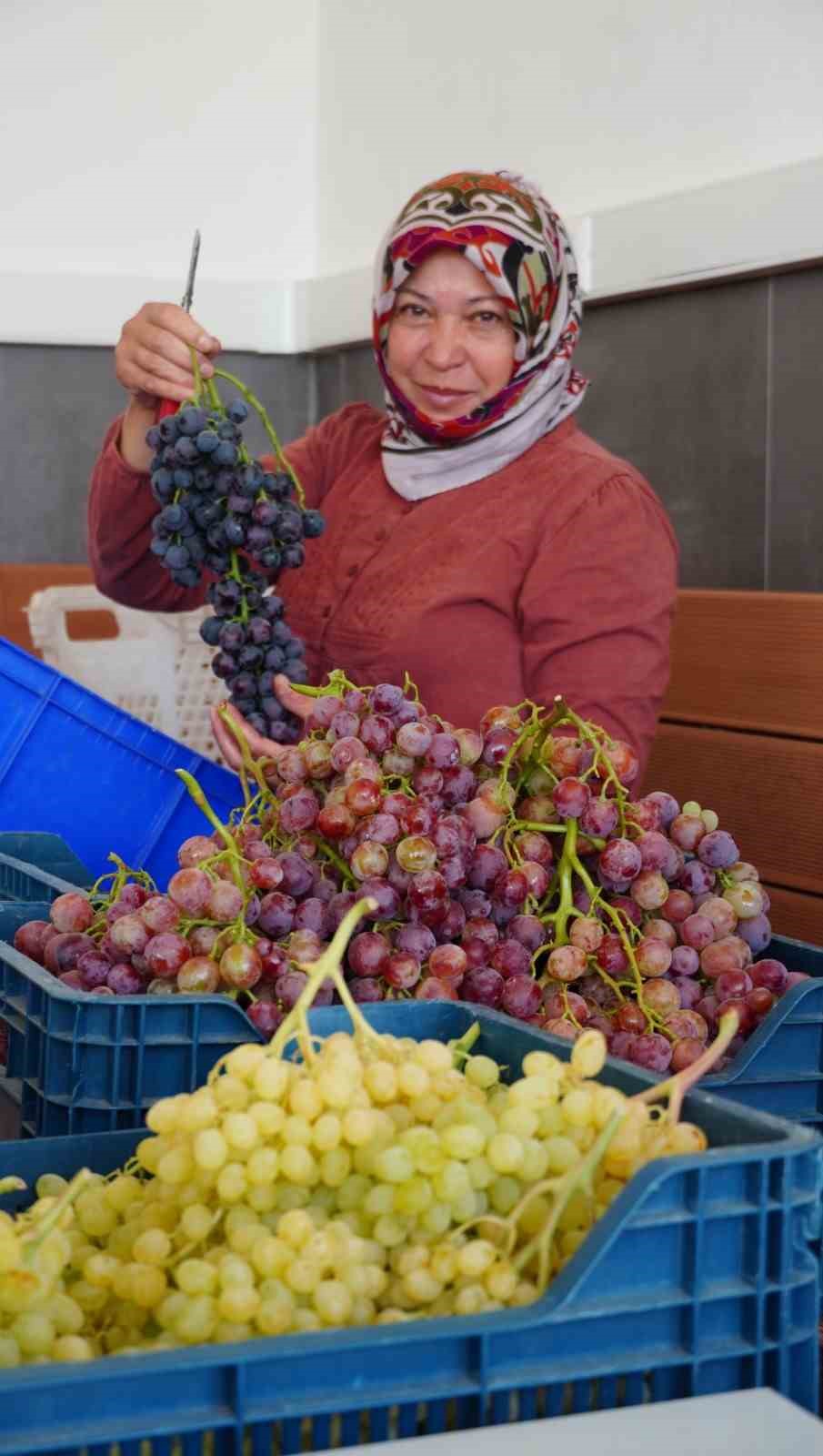 Dalında üzüm, tadında çilek var