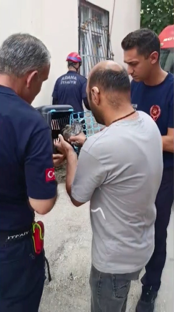 Adana’da tavana sıkışan güvercini itfaiye kurtardı