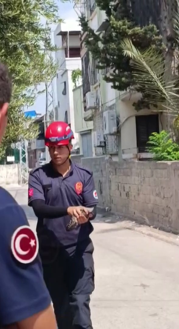 Adana’da tavana sıkışan güvercini itfaiye kurtardı
