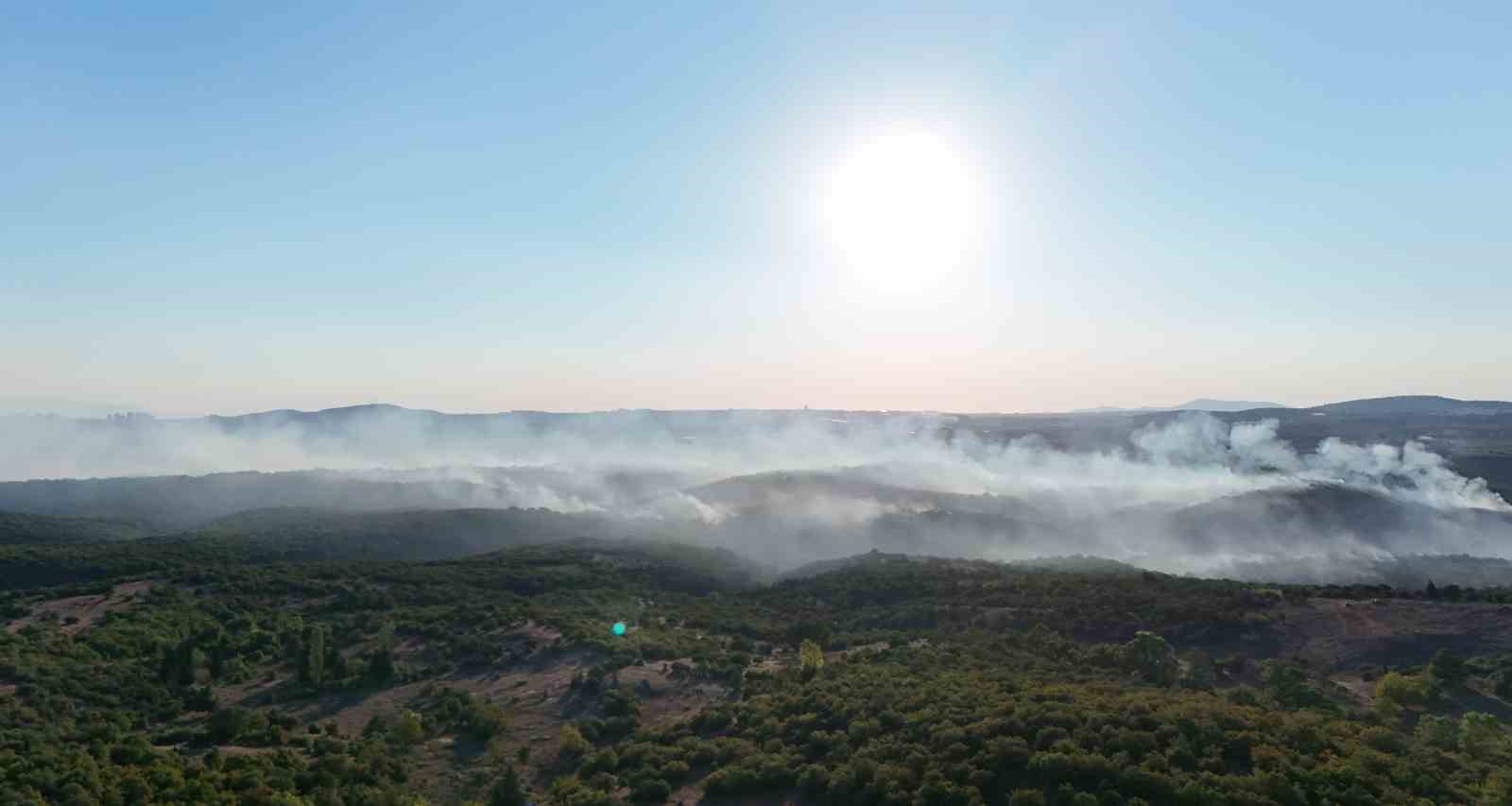 Gebze’deki orman yangını havadan görüntülendi