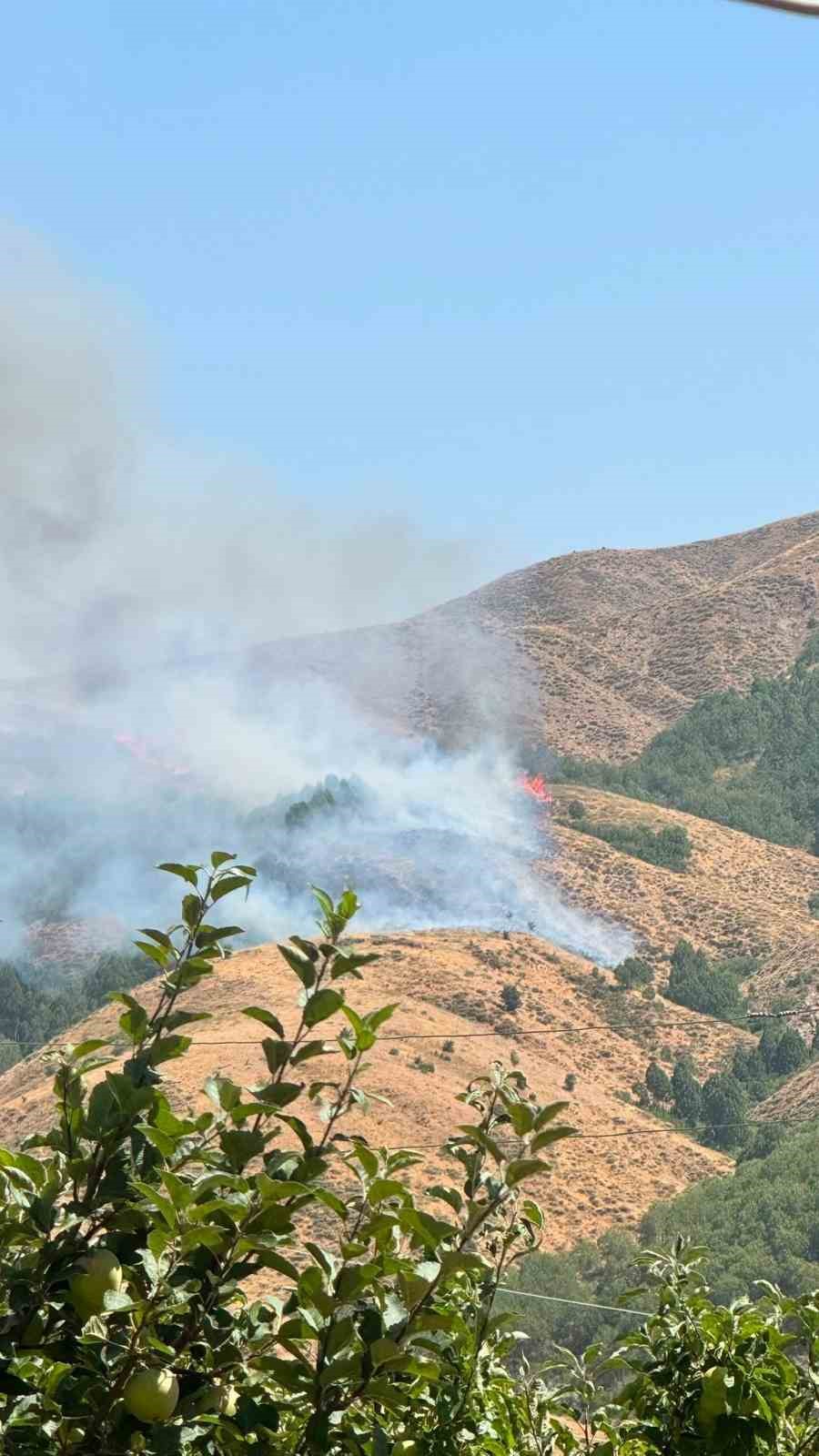 Bingöl’deki yangın kontrol altına alındı