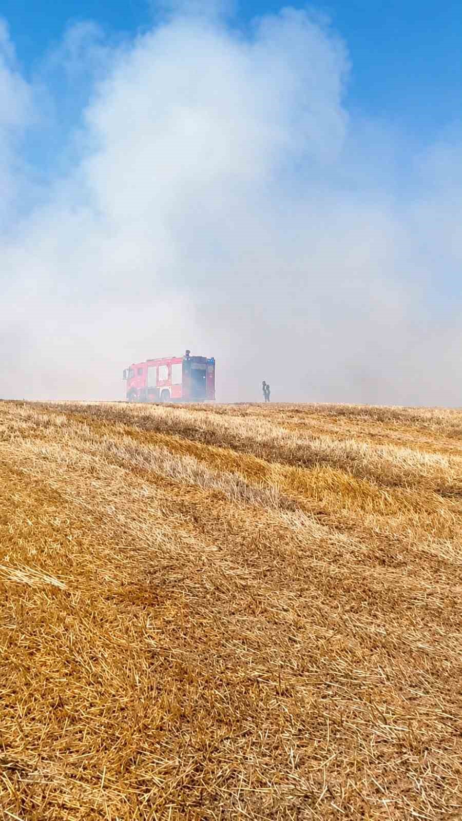 Tekirdağ’da anız yangını