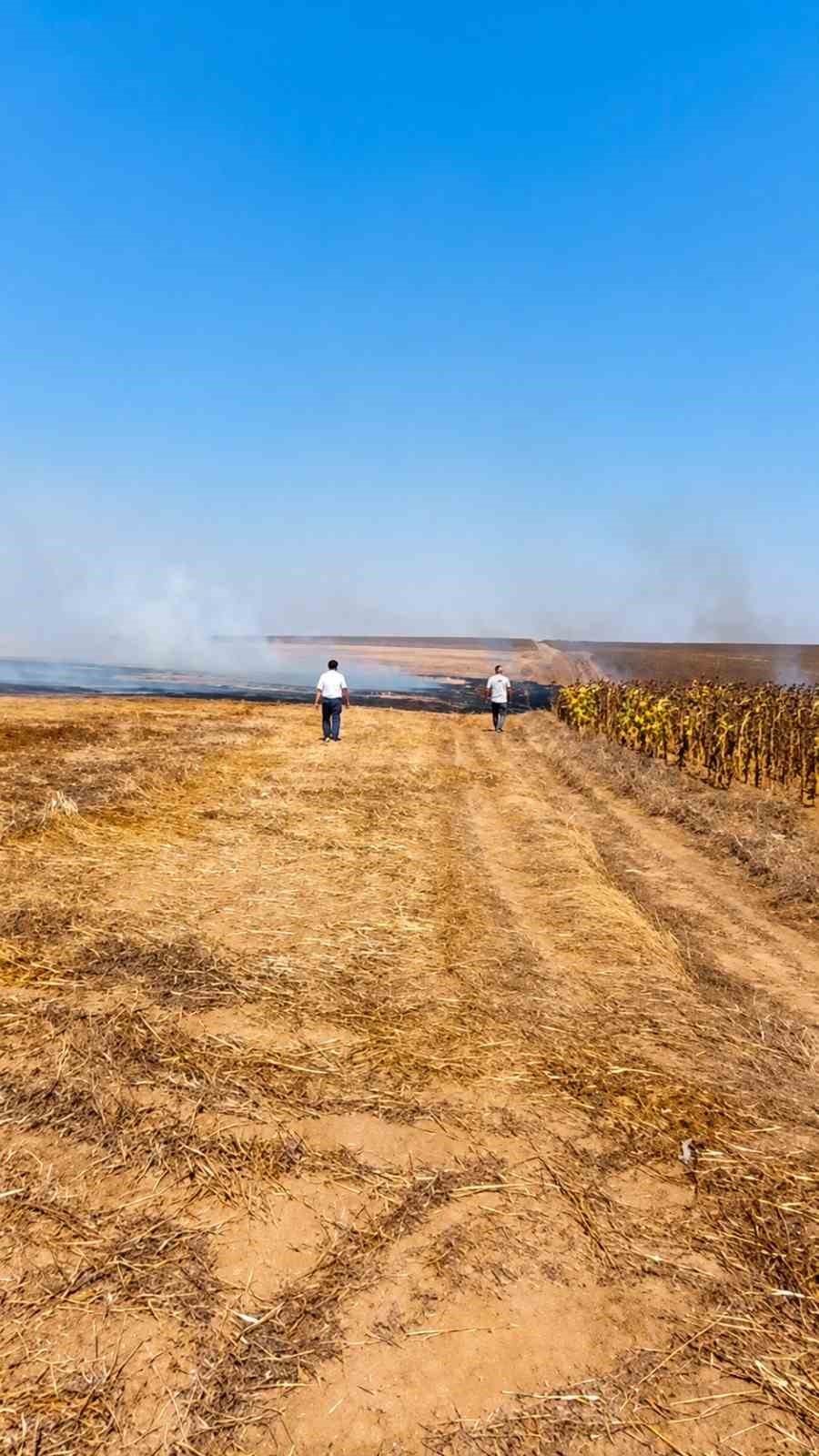 Tekirdağ’da anız yangını